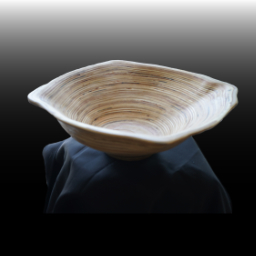 Moonbowl 2024 (SOLD)